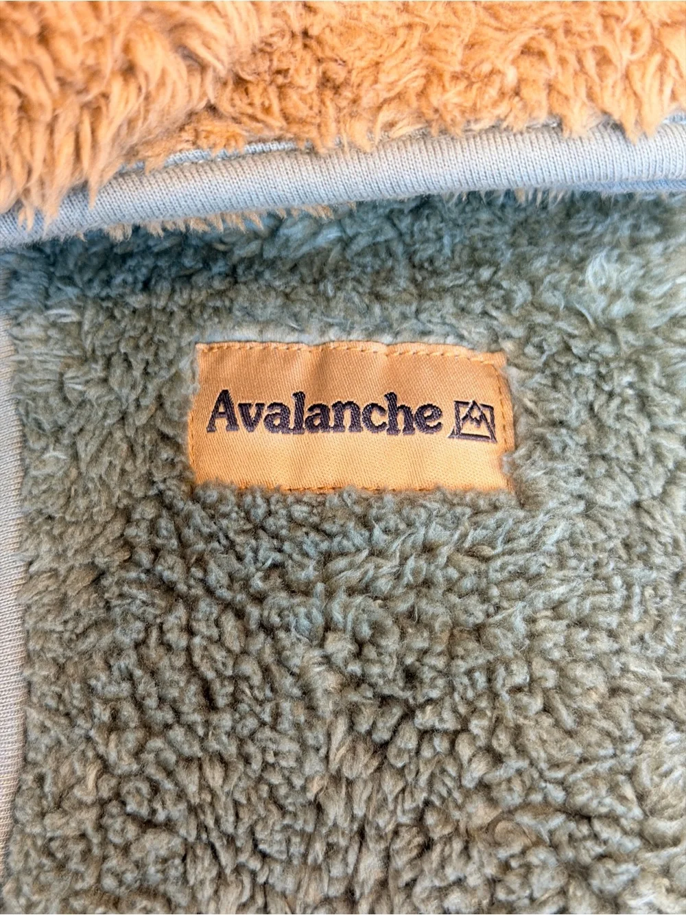 Avalanche bear hooded
